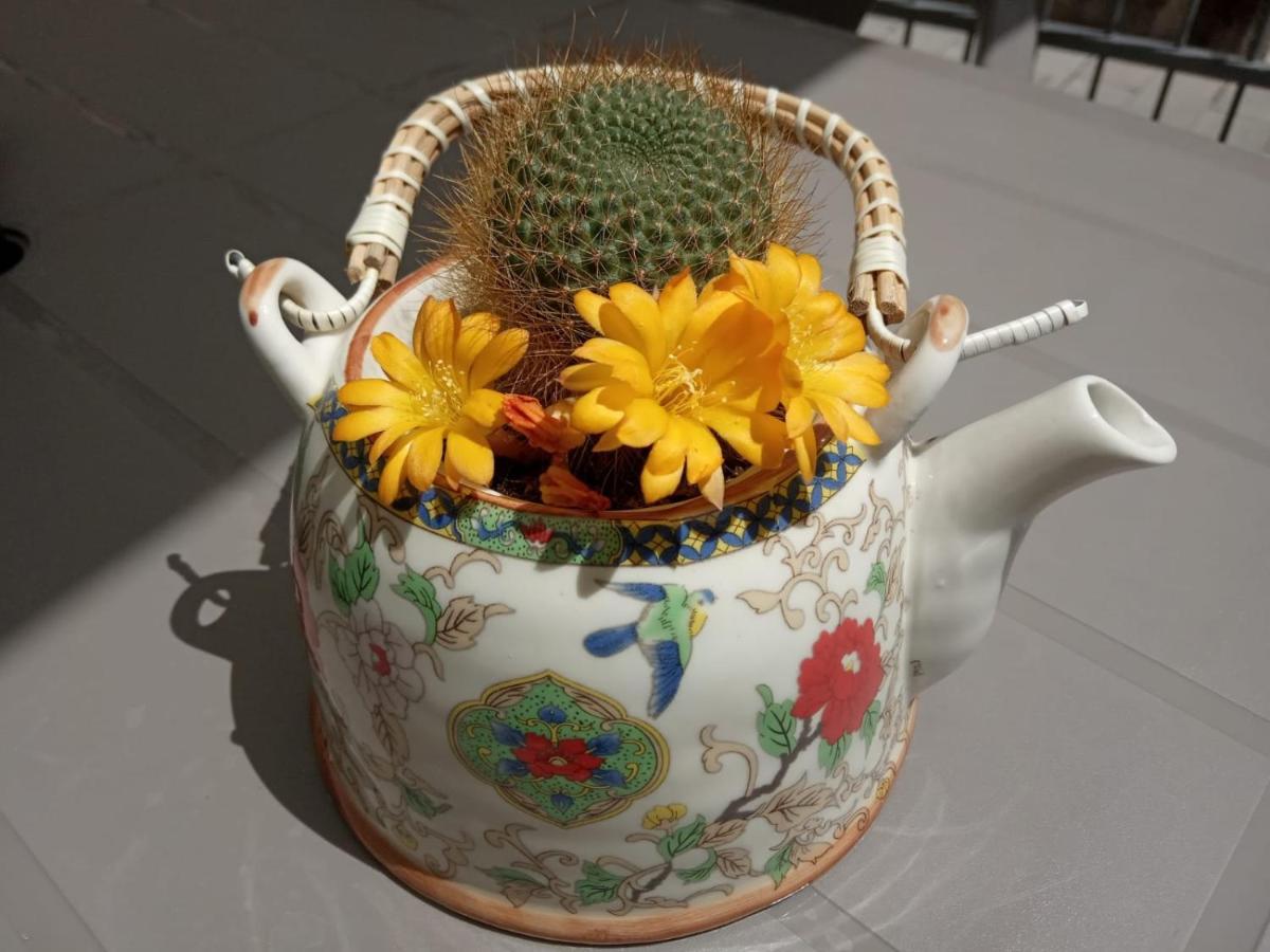 Il Giardino di Ambra Casa Vacanze indipendente Viterbo Esterno foto